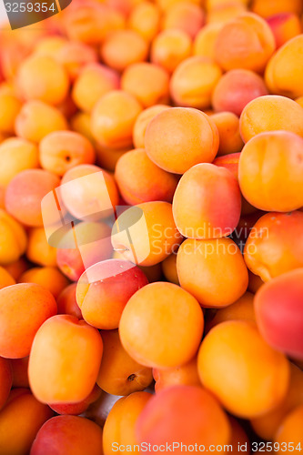 Image of Apricots