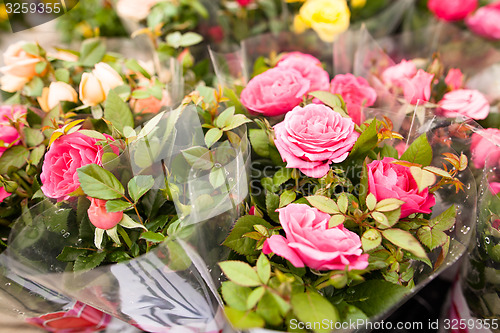 Image of Beautiful flowers