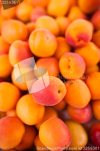 Image of Apricots