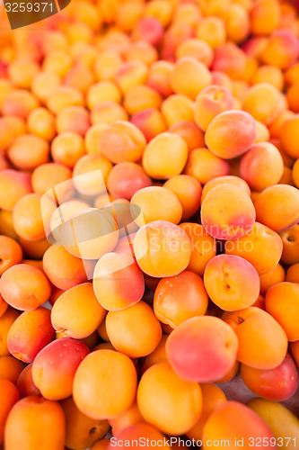 Image of Apricots