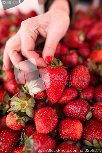 Image of Fresh strawberries