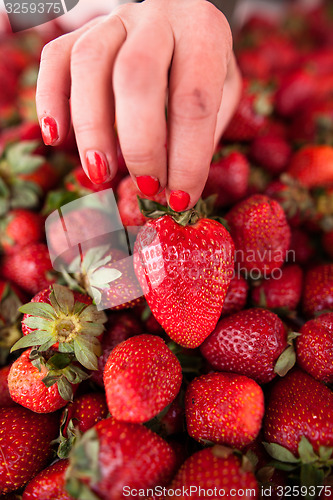 Image of Fresh strawberries