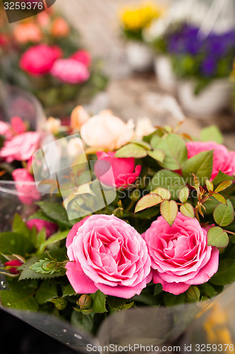 Image of Beautiful flowers