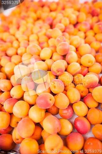 Image of Apricots