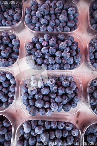 Image of Blueberries