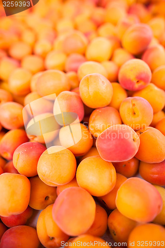 Image of Apricots