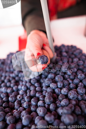 Image of Blueberries