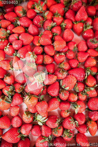 Image of Fresh strawberries