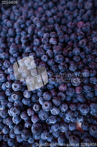 Image of Blueberries