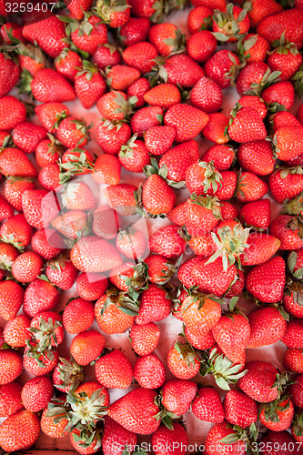 Image of Fresh strawberries