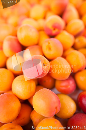 Image of Apricots