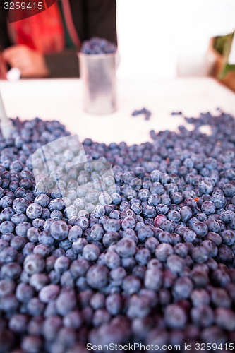 Image of Blueberries