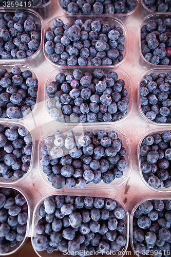 Image of Blueberries