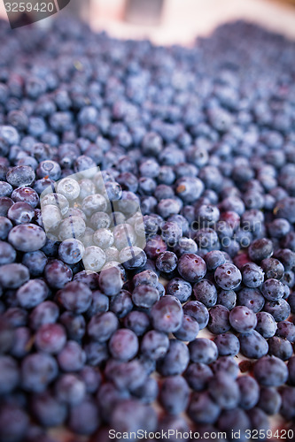 Image of Blueberries