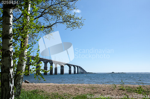 Image of Spring view at the bridge