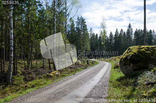 Image of Mossy rock at a winding dirt road