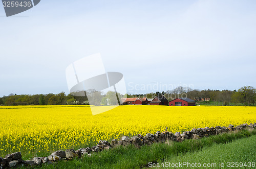 Image of Swedish rural landscape
