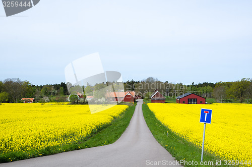 Image of Swedish spring landscape