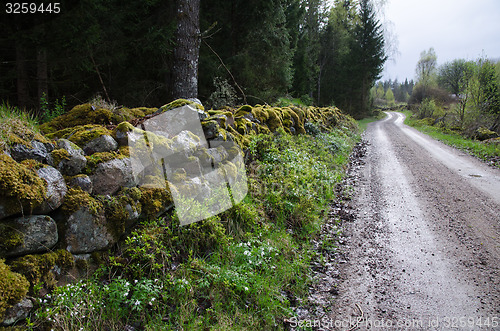 Image of Old winding gravel road