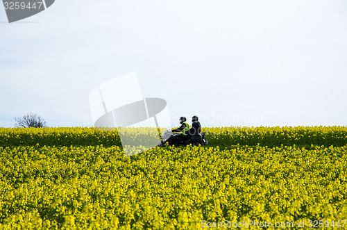 Image of Motorbike in a blossom rapeseed field