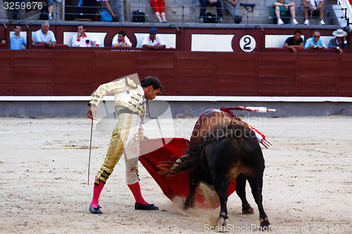 Image of Traditional corrida - bullfighting in spain