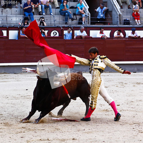 Image of Traditional corrida - bullfighting in spain