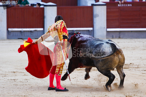 Image of Traditional corrida - bullfighting in spain