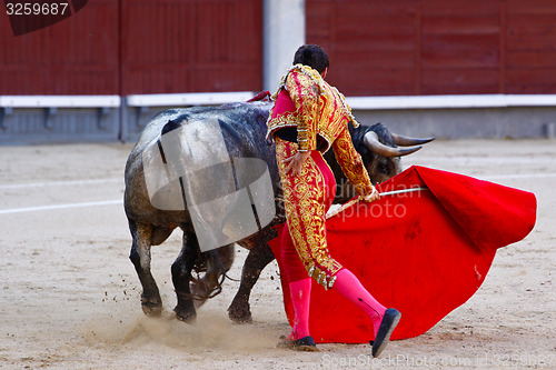 Image of Traditional corrida - bullfighting in spain