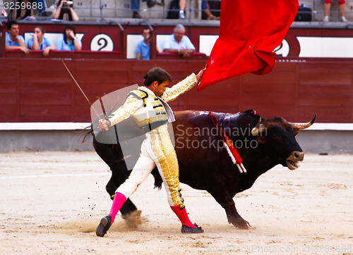 Image of Traditional corrida - bullfighting in spain