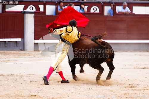 Image of Traditional corrida - bullfighting in spain