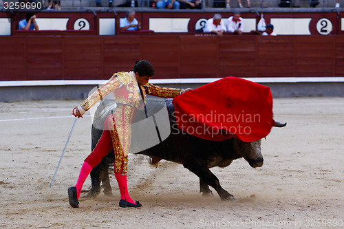 Image of Traditional corrida - bullfighting in spain