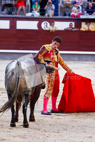 Image of Traditional corrida - bullfighting in spain