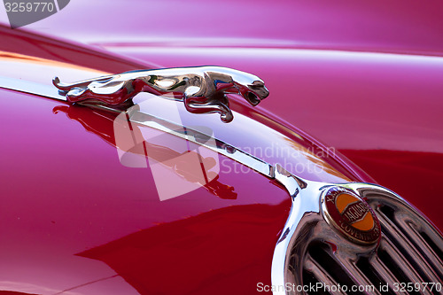 Image of Red luxury retro sports car - Jaguar