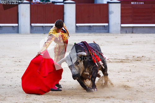 Image of Traditional corrida - bullfighting in spain
