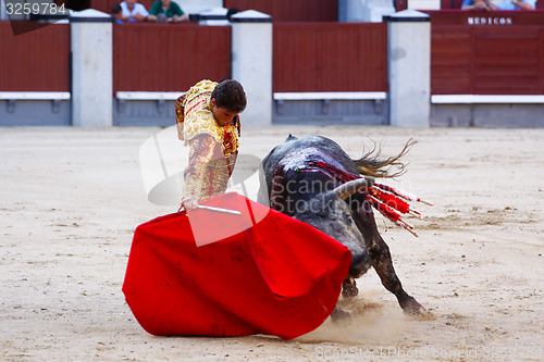 Image of Traditional corrida - bullfighting in spain