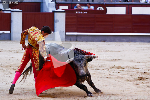 Image of Traditional corrida - bullfighting in spain