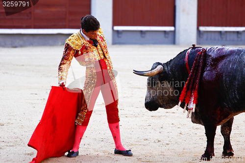 Image of Traditional corrida - bullfighting in spain