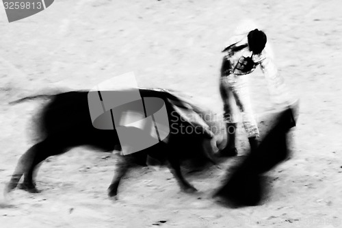 Image of Bullfighting