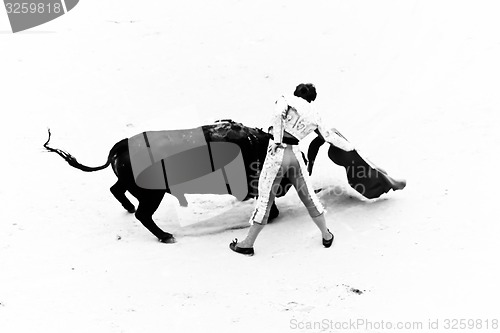 Image of Bullfighting