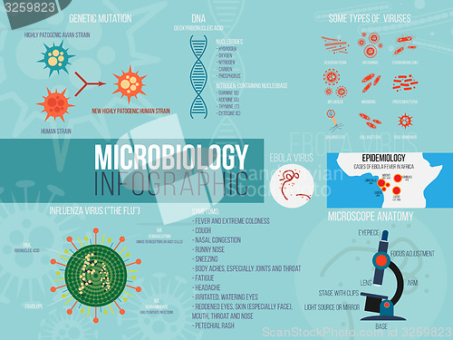 Image of Microbiology infographic. Set with different shapes of virus. Flat design elements.