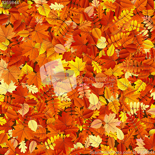 Image of Autumn leaves texture EPS 10