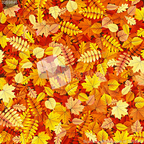 Image of Autumn leaves texture. EPS 10 