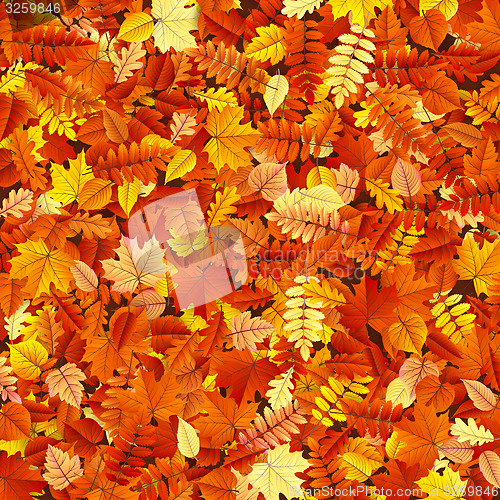Image of Autumn leaves texture EPS 10