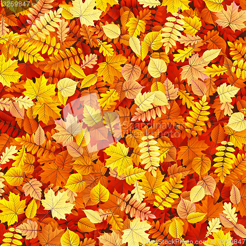 Image of Autumn leaves texture EPS 10