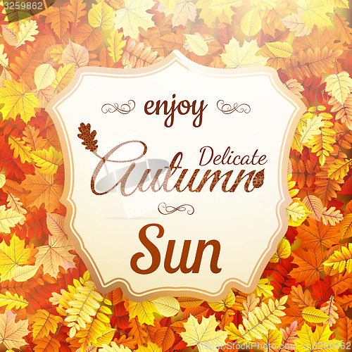 Image of Delicate autumn sun. EPS 10