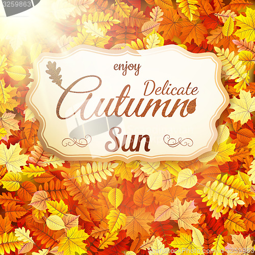 Image of Delicate autumn sun. EPS 10