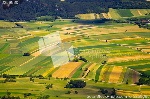 Image of Fields