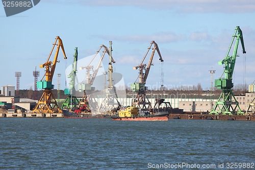 Image of Dock with cranes