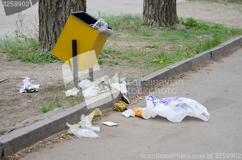 Image of Debris is scattered around the garbage bins