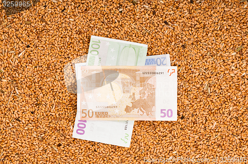 Image of Monetary crop